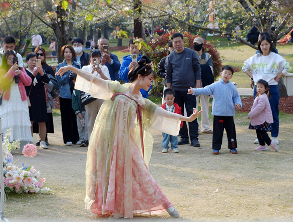 清明假期期間，上海顧村公園櫻花島上，游客在觀賞國風(fēng)漢服快閃表演。（圖片來源：視覺中國）