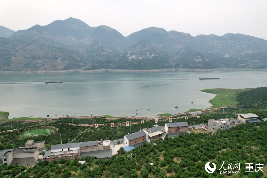 三沱村正以“三峽橙莊”建設(shè)為契機(jī)，描繪鄉(xiāng)村振興新圖景。人民網(wǎng)記者 劉政寧攝