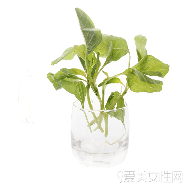  時令野菜| 美味健康兼顧的春之饗宴 
