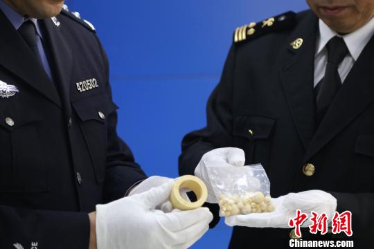 海關(guān)工作人員查獲象牙制品?！□U曉康 攝