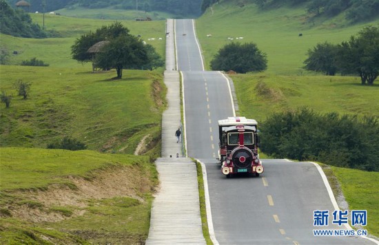 （美麗中國(guó)）（1）重慶武?。罕苁钚蓍e游升溫