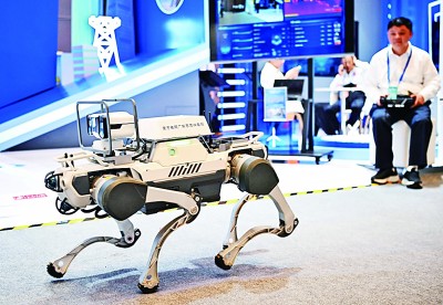  網(wǎng)絡(luò)安全博覽會上的企業(yè)展示電網(wǎng)巡線機器狗。新華社記者 鄧華攝